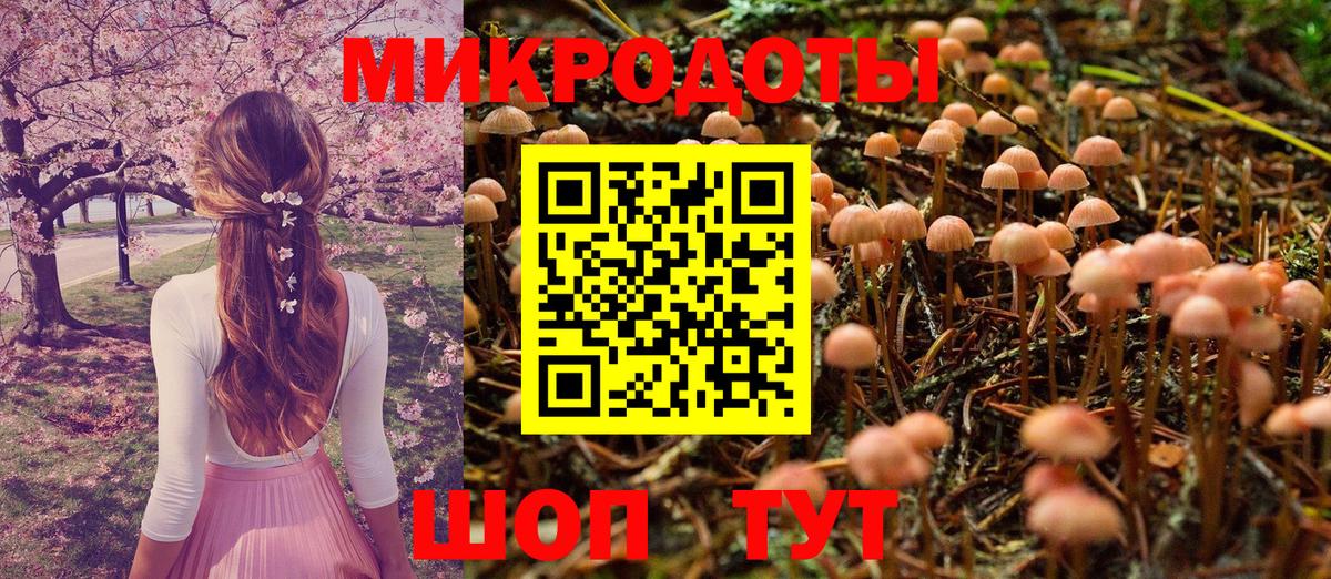 Псилоцибиновые грибы GOLDEN TEACHER Заводоуковск