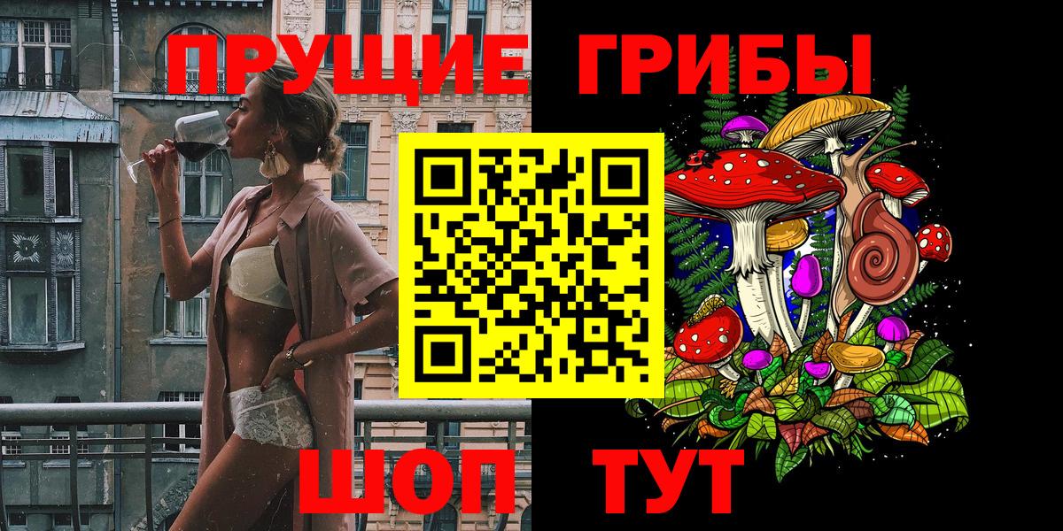 Заводоуковск  сколько стоит  Вход с VPN  Псилоцибиновые грибы прущие грибы 
